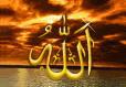 slt mes amis